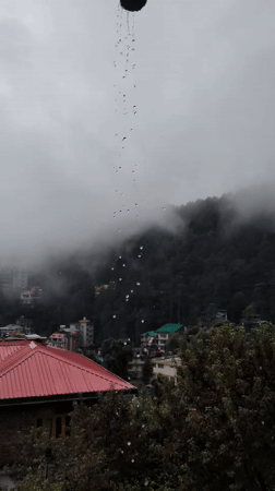Rainy morning scenes from a quiet Bhagsu guesthouse
