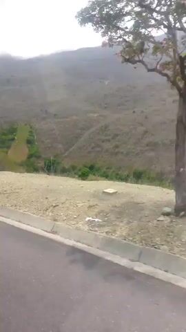The video shows a roadside view of a mountain covered in shrubs and sparse trees. The sky is overcast. The video is taken from a moving vehicle, driving on a paved road with a concrete curb.