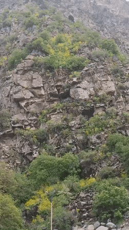 Muddy river flows through Tajik mountains near toll plaza