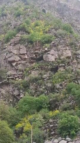 The video shows a steep, rocky mountainside with patches of greenery clinging to the rocks and base. The rocks are a light brown-grey color.  There are some bushes and low-lying trees, some with yellow flowers. The top of the mountain is visible. The sky is overcast and light grey.  The mountain rises out of frame. As the video continues, a small gully between the mountain and a neighboring cliff face becomes visible. A light pole is visible near the bottom of the frame.