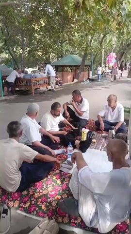 A group of men are sitting on a patterned blanket on the ground in an outdoor area, possibly a park. They are all dressed in casual clothing, and most appear to be middle-aged or older. Some of the men are engaged in conversation, while others are looking down at the ground or at something on the blanket. There is a bottle of water and some other items on the blanket. In the background, there are trees, a covered seating area with other people, and a paved walkway with more people walking by. There are also some balloons visible in the distance. The overall atmosphere seems relaxed and social.
