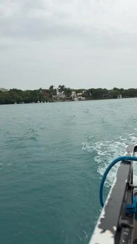 This video captures a boat ride on a clear, turquoise body of water. The camera is positioned at the back of the boat, looking towards the bow and then panning to the right. In the distance, a lush green shoreline is visible, dotted with white buildings and palm trees, suggesting a tropical or subtropical location. The water is choppy, creating a foamy wake behind the boat. A blue rope is tied to the railing of the boat, and a life preserver is also visible. The sky is overcast with a pale grey cloud cover, indicating a possibly humid or pre-rainy day. The time of day appears to be daytime, likely mid-morning or afternoon, given the diffused light. The overall scene evokes a sense of leisurely travel and enjoyment of a scenic waterscape. The location is identified as Bacalar, Mexico, which is known for its Seven Color Lagoon, a stunning freshwater lagoon with distinct shades of blue and turquoise water, bordered by lush vegetation and often featuring small islands and inlets.