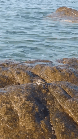 Rocky Sardinian shoreline up close, calm and clear