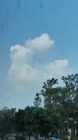 A short vertical video shows a cloudy blue sky and the tops of green trees. The clouds are white and fluffy, and they are moving across the sky. The trees are lush and full of leaves.