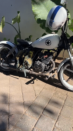 Motorcycles parked and a dog relaxing in a paved outdoor space