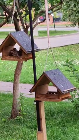 In a grassy outdoor setting, likely a park or backyard in Rosinka, Russia, two wooden bird feeders hang from trees and a pole. The bird feeders are triangular in shape with grey, speckled roofs and are filled with birdseed. One feeder, hanging higher up on a tree branch, contains a small brown bird pecking at the seeds. Below it, another feeder hangs from a pole, also filled with seeds but currently empty of birds. The background shows a paved walkway, green grass, and trees with lush foliage, suggesting it's daytime, likely spring or summer. The scene is peaceful and captures a moment of nature in an urban or suburban environment. No visible text is present in the media.
