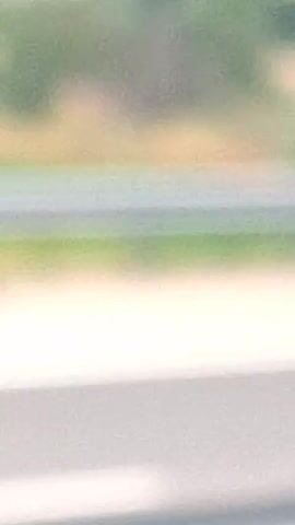 This media file captures a landscape scene, likely from a moving vehicle, given the motion blur. The foreground is dominated by a guardrail, a common roadside object, with a glimpse of a paved road surface and a white line. Beyond the guardrail, the scene opens up to a dense green expanse of trees and bushes, suggesting a rural or natural setting. In the background, gentle hills can be seen under a bright, possibly sunny sky, indicating daytime. The overall impression is one of a journey through a green, hilly region. No people, text, or specific events are clearly identifiable due to the motion blur and the focus on the natural scenery. The location context of Yazdach, Bulgaria, places this scene within a geographical area known for its varied landscapes.