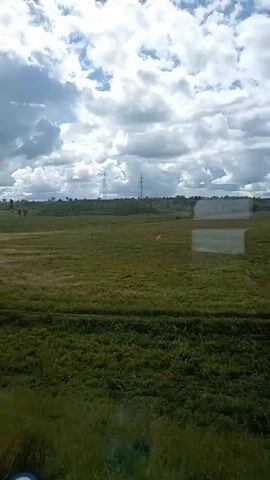 The video captures a view from a moving vehicle, likely a train, looking out a window. The scene outside is a vast, open landscape of green fields with patches of dry grass, stretching towards a horizon dotted with trees and power lines. The sky is partly cloudy with a mix of bright white cumulus clouds and darker grey storm clouds. A thin black cable stretches diagonally across the upper portion of the frame, and a reflective glare from the window is visible in the center of the image, obscuring a small portion of the landscape. The vehicle's interior is partially visible on the right side of the frame, with a vertical pole showing the number 370 marked on it. The overall impression is a rural, perhaps somewhat overcast, day with the feeling of movement through the countryside.