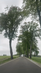 Car travels tree-lined rural road in Módłki, Poland