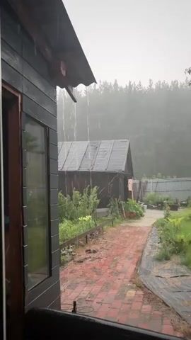 The video shows a close-up view of rain falling from the eaves of a wooden building. The building is dark-colored and has a large window. Beyond the building, a dirt path leads to another wooden structure. The area appears to be rural, with greenery and trees in the background, shrouded in mist. The rain is heavy, creating visible streams of water falling from the roof. The overall atmosphere is somber and wet.