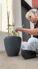 Woman tends tomato garden in early morning Chambœuf session