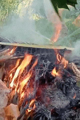 Debris fire burns in Keudekrueng amid natural vegetation