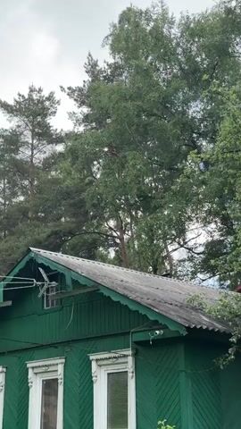 The video shows a green wooden house, with a gray roof and white window frames. The house appears to be older, possibly a traditional style.  A security camera is visible under the roofline. Behind the house are tall green trees, including pine and birch, against a cloudy sky.  The camera is static.