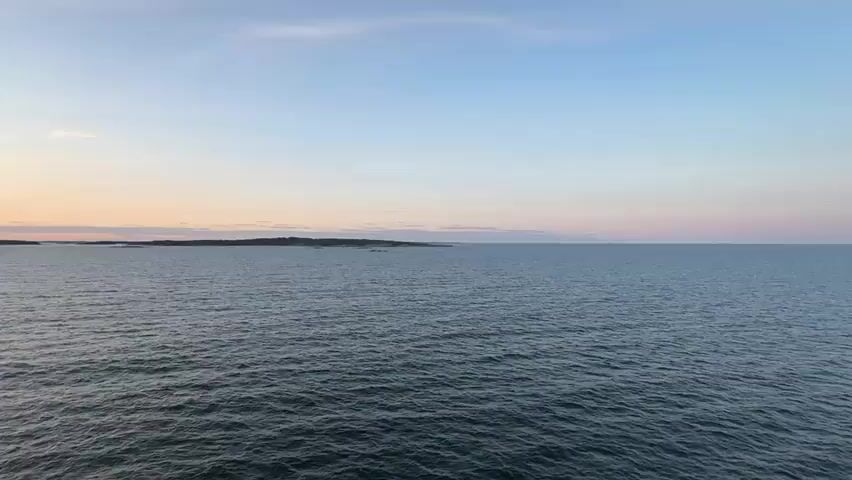 The video shows a serene ocean view at sunset near Nynäshamn, Sweden. The scene is dominated by the vast expanse of the sea, with gentle ripples reflecting the soft hues of the sky. In the distance, a tree-covered island with rocky outcrops is visible, adding a touch of natural beauty to the seascape. The sky transitions from a pale blue at the top to soft shades of pink and orange closer to the horizon, indicating the time of day is late evening or early morning. The weather appears calm and pleasant.

The primary activity taking place is the natural behavior of a pod of whales. Their dark forms are intermittently visible as they break the surface of the water, creating subtle disturbances. The whales appear to be swimming and surfacing, likely feeding or migrating.

Notable details include the peaceful and tranquil atmosphere, enhanced by the soft lighting of the sunset. The presence of the whales adds a sense of wonder and wildness to the otherwise calm setting. There is no visible text in the media file.