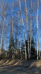 Early spring scenes captured across Noviy, Russia during morning hours
