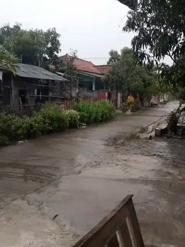 The video shows a flooded street in a residential area. The rain is heavy, and the concrete street is covered in standing water. There are houses on either side of the street, with small gardens and fences. Some of the houses have tiled roofs, while others have corrugated metal roofs. The trees and bushes are wet and drooping. A wooden bench is partially visible in the foreground. The scene is overcast and gloomy. There are no people visible in the video.