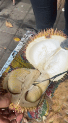 Man enjoys durian fruit at roadside vendor in Indonesia