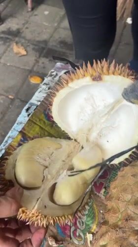 Man enjoys durian fruit at roadside vendor in Indonesia