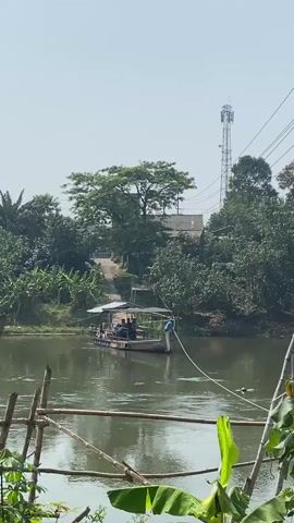 The video shows a wide shot of a body of water, likely a river, on a clear day. In the middle of the water, there is a small boat with a canopy and several people on board. The boat appears to be moving or being pulled by a rope that extends towards the right of the frame. The surrounding environment is lush and green, with trees and vegetation lining the banks of the water. In the background, a tall telecommunications tower can be seen, along with power lines and some buildings peeking through the trees. In the foreground, a makeshift fence or railing made of bamboo poles is visible, with some large green leaves in the lower right corner. The water is calm with some ripples.
