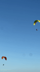 Paragliders spotted over tropical coastline during morning flight session