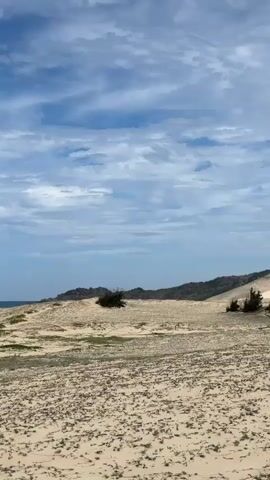 The video shows a sandy beach with sparse vegetation under a cloudy blue sky. The ocean is visible in the distance, with a calm sea and a clear horizon. The camera pans slowly across the landscape, capturing the texture of the sand, the distant water, and the expansive sky. There are no people or man-made structures immediately visible in the foreground. The overall impression is one of a natural, undisturbed coastal environment.