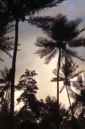 Gampong Teungoh, Indonesia