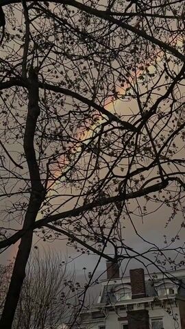 The video captures a cloudy sky with a striking rainbow behind a bare tree, obscuring some of the color bands. A building with a chimney can be seen at the bottom of the frame, below the tree. In the audio, a child exclaims "Wow!" upon seeing the rainbow.