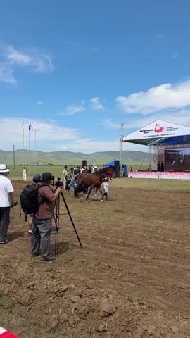 A horse is being paraded in front of a stage at an outdoor event. The horse is a bay color with a black mane and tail. It is being led by a person in a jockey's outfit. Behind the horse is a large stage with a white canopy and banners. There are several people around the stage, some are filming the horse. The ground is dry and dusty, with some sparse grass. The sky is blue with some white clouds. In the distance, there are rolling hills.