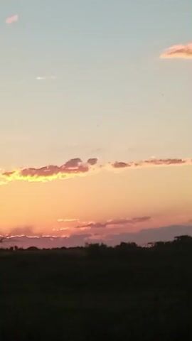 The video shows a time-lapse of a sunset over a silhouetted landscape. The sky transitions from a light blue at the top to shades of pink, orange, and purple near the horizon. Clouds are visible, catching the light and reflecting the sunset colors. In the foreground, a dark, silhouetted line of trees and vegetation runs across the bottom of the frame. There are also two thin black horizontal lines near the top of the frame, which appear to be power lines. The scene is static and peaceful, with no people or animals present. The focus is on the natural beauty of the sky and the transition of light.
