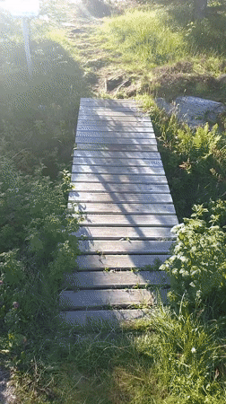 Sunny morning hike through Sveggen's rocky Norwegian trail