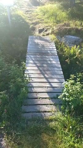 The video begins by showing a wooden boardwalk on a grassy and wooded trail. The sun is shining brightly and casts shadows on the boardwalk. The camera then pans up to show the trail continuing up a hill, with trees and bushes on either side. The sun is still shining brightly, creating a lens flare effect. The camera then continues to pan up the trail, showing more of the wooded landscape. The video ends with a view of the sun shining through the trees.
