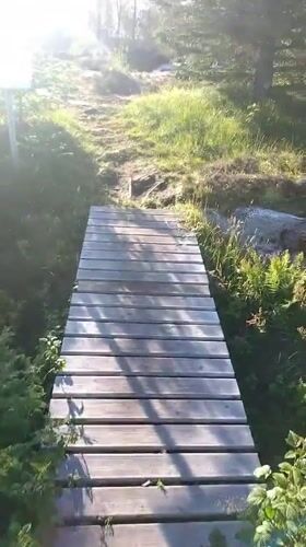 Sunny morning hike through Sveggen's rocky Norwegian trail