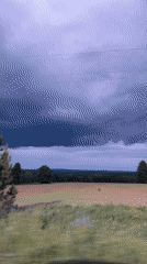 Rural countryside landscapes documented near Bolshiye Kusty, Russia