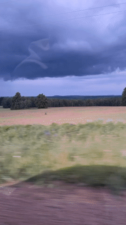 Rural countryside landscapes documented near Bolshiye Kusty, Russia