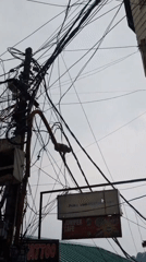 Monkey sits on restaurant sign amid busy Bhagsu street scene