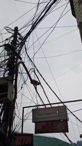 Monkey sits on restaurant sign amid busy Bhagsu street scene