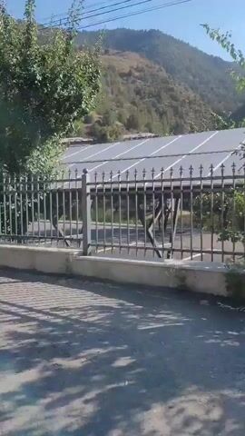 The video shows a view from a car moving along a road. On the left, there is a black metal fence with a concrete base. Behind the fence, there are some buildings with white roofs and some trees. Further back, there is a hill covered with trees and bushes. On the right side of the road, there is a tall pole with wires. In the foreground, there is a black metal fence with a concrete base and a brick wall with arched openings. There are trees and bushes behind the fence. The sky is clear and blue. The video pans from left to right, showing different parts of the scene.