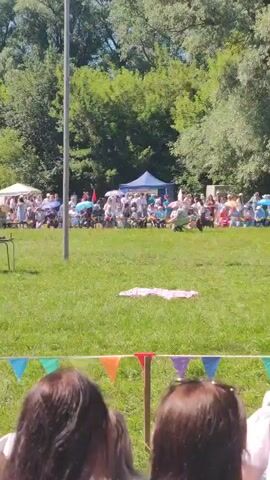 The video depicts an outdoor event with a crowd of spectators seated on a grassy field. In the foreground, two people are seen from behind, with their heads and shoulders visible. A colorful triangular flag garland is strung between poles in front of them. The middle ground features a grassy area with a tall pole in the center, a small table with two items on it, and a wheelbarrow. A person is seated in the wheelbarrow, and another person is pushing it. Further back, more people are seated, some under umbrellas or canopies. A large inflatable pool is visible in the lower left quadrant of the frame. In the background, there are trees and a large truck. The event appears to be some kind of competition or entertainment, possibly involving the wheelbarrow and the pool. The overall atmosphere seems to be sunny and festive.