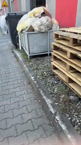 The video shows an outdoor scene with multiple large black trash bins and a metal bin filled with garbage bags. The ground is paved with interlocking concrete blocks. There are pallets stacked to the right of the metal bin. The scene appears to be an alleyway or service area behind a building, indicated by the presence of the trash receptacles and building facade in the background. The overall environment suggests a commercial or industrial setting.