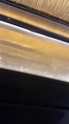 Butterflies and moths observed inside heritage building in Vietnam