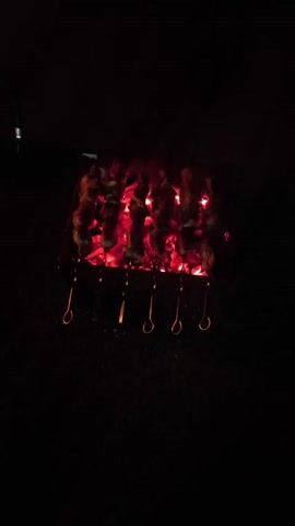 The video shows a close-up, dimly lit view of skewers of food cooking over glowing red coals in a barbecue grill. The food appears to be meat or vegetables on metal skewers. The background is entirely dark. The grill is rectangular with several skewers arranged horizontally over the coals. The embers are bright red and orange, indicating intense heat. Some of the food items on the skewers are slightly charred. The overall impression is a nighttime barbecue scene.