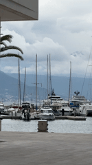 Montenegro coastal marina and gardens documented in afternoon survey