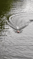 RC boat enthusiasts gather at Saint Petersburg waterway
