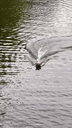 RC boat enthusiasts gather at Saint Petersburg waterway