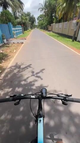 The video shows a first-person perspective of a person riding a bicycle down a paved road. The road is lined with houses and lush green trees, many of which appear to be palm trees. The sky is partly cloudy. The handlebars of the bicycle are clearly visible in the foreground, with a bike computer or light mounted on them. The rider's leg is also visible at the bottom right of the frame. The overall impression is a leisurely ride through a tropical or subtropical residential area.