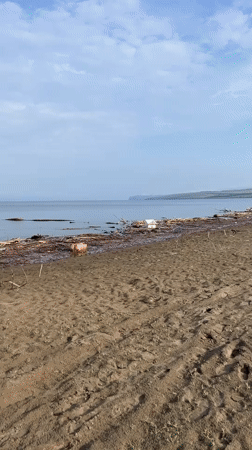 Lazy afternoon on a sandy Siberian riverbank