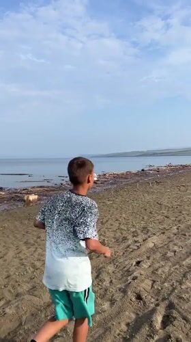 Lazy afternoon on a sandy Siberian riverbank