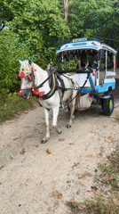 Indonesian village scenes: horse carriage, boatyard, water walking observed