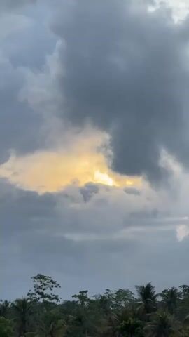 This media file captures a dramatic sky scene over Arachikanda, Sri Lanka. The primary subjects are the clouds, which dominate the frame with their varying textures and shades of gray. Some clouds are thick and ominous, while others are lighter and wispy, allowing a vibrant patch of yellow sunlight to break through in the center. This creates a striking contrast between darkness and light, hinting at a stormy or transitional weather pattern.

Below the tumultuous sky, the tops of various trees are visible, including palm trees and other lush green foliage. These trees form a dense, dark silhouette against the brighter sky, suggesting a tropical or sub-tropical location. The presence of palm trees specifically aligns with the given location context of Sri Lanka.

The time of day appears to be either sunrise or sunset, given the warm glow of the sun breaking through the clouds. The overall mood conveyed is one of awe and perhaps a touch of foreboding due to the stormy cloud formations. The weather is clearly overcast with periods of intense sunlight. There is no visible text in the media file. The scene is static, with no discernible activity or event taking place beyond the natural movement of clouds and the unchanging presence of the trees.