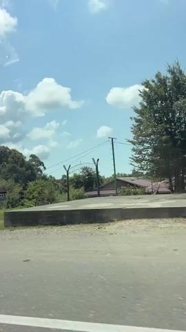 The video shows a roadside view from a vehicle on a sunny day. The scene includes a dirt road in the foreground, with trees and vegetation along the sides. On the left, there is a structure with several hanging chairs. Further down the road, a sign is visible that appears to say "АК АЛАТ". There are also some portable structures or buildings, a white van, and more trees. The sky is blue with some white clouds. The overall impression is of a rural or semi-rural commercial area, possibly a roadside market or rest stop.